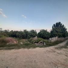 فروش باغ 1700 متر در جاده بابل-بهنمیر