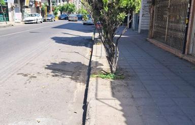 تجاری مسکونی186 متر بر اصلی کوچه نیما