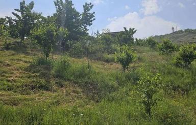 فروش یا تهاتربا آپارتمان باغ گیلاس 3000 متر در بوالقلم نوسر