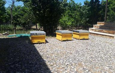 فروش ویلا فریدونکنار روستای مهلبان ایثارگران