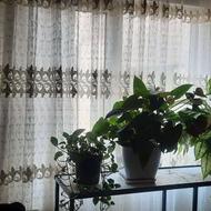 یک جفت پرده پذیرایی سالم
