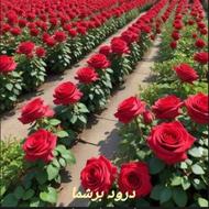 خریدار وام مهر ایران