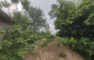 500متر زمین واقع در روستای ماهودکلا آمل