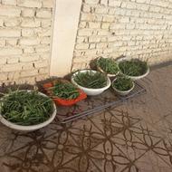سبزی خورد کنی خانگی