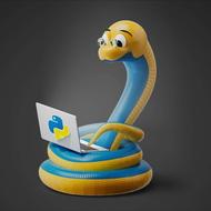 برنامه نویس پایتون