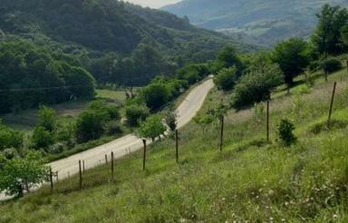 زمین ویلایی روستای چرمی در هزارجریب نکا