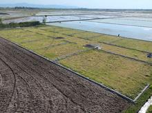 184 متر زمین با سوددهی بسیار بالا در شیپور