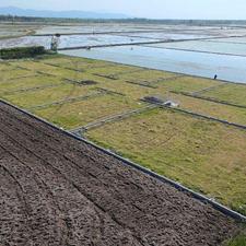 184 متر زمین با سوددهی بسیار بالا