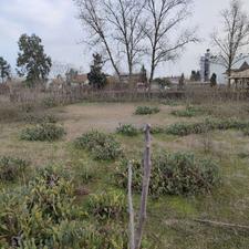 2100 متر زمین سند دار مسکونی بر اول رودخانه