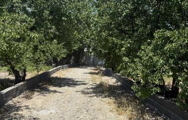 باغ 500متری سند تکبرگ آب برق گاز فول بهترین لوکیشن