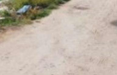 زمین کشاورزی 5,000 متری در دابودشت