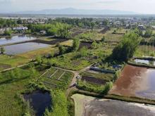 فروش زمین مسکونی 950 متر در ساحلی در شیپور