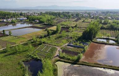 فروش زمین مسکونی 950 متر در ساحلی