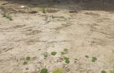 فروش زمین 131 متر در اخلاص 17