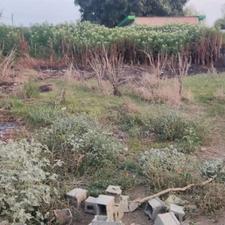 فروش زمین مسکونی 170 متر در بالامحله