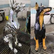 دستگاه مخمل پاش sadraآبکاری فانتاکروم