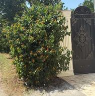 فروش زمین 208 متر سند دار در قلعه گردن