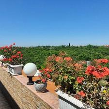 3 هکتار باغ ویلا با سند تکبرگ، محدوده میدان امام