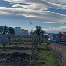 فروش زمین 160 متری جفت بافت در علی آباد