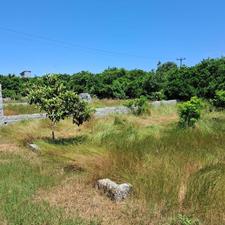 فروش زمین مسکونی 160 متر در روستای دولت آباد