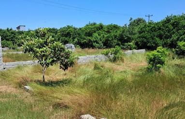 فروش زمین مسکونی 160 متر در روستای دولت آباد
