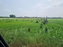 فروش زمین کشاورزی 8000 متر در سنگ بست در شیپور