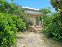 فروش باغ یک هکتاری در جاده سرخرود در شیپور