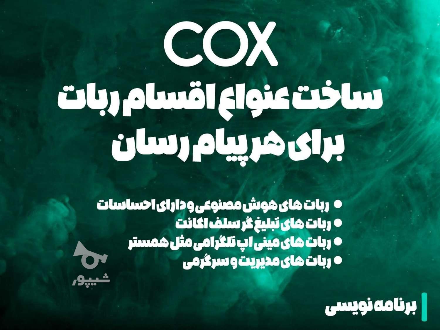 برنامه نویس ساخت ربات برای اپلکیشن ها و هوش مصنوعی - cox