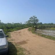 فروش زمین کشاورزی 110000 متر در لیجارکی حسن رود