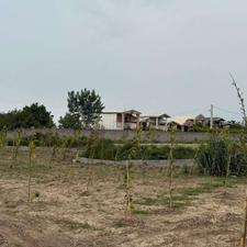 زمین500متری بافت شهرکی باسند تک برگ