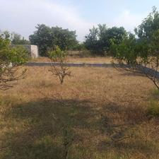 زمین مسکونی 210 متری قرق-زرگرباغ