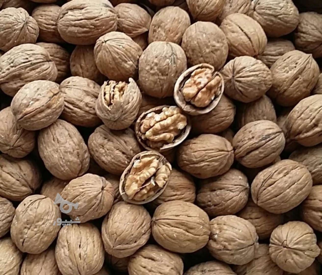 انواع ته لنجی خواربار گردو بادام