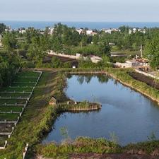 زمین در بهترین لوکیشن چاف