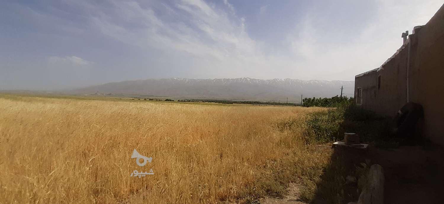 راننده گریدر هستم نیازمند کار - undefined