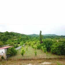 زمین 1500متری داخل بافت سرسبز و جنگلی