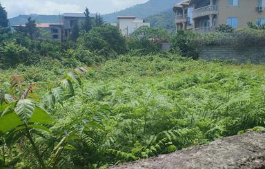 فروش زمین مسکونی 250 متر در رضی محله