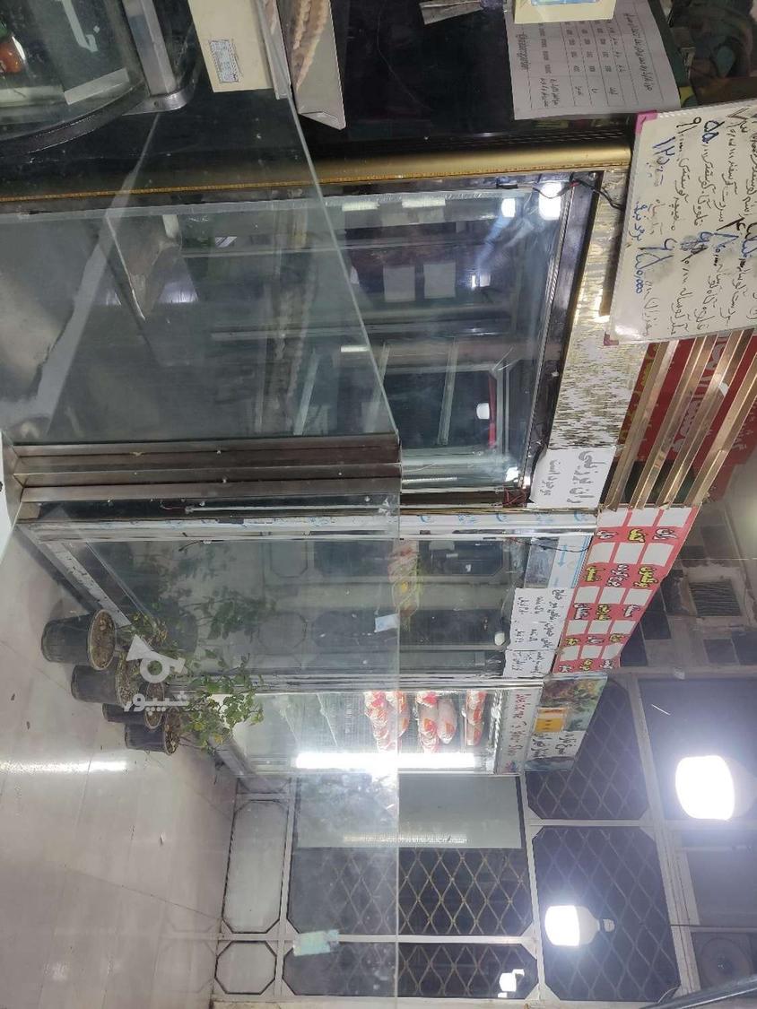 کارگر ساده جهت کار در قصابی - undefined