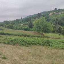 فروش زمین 200 متر در پایین کولا