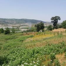 فروش زمین 1000 متر در پایین کولا