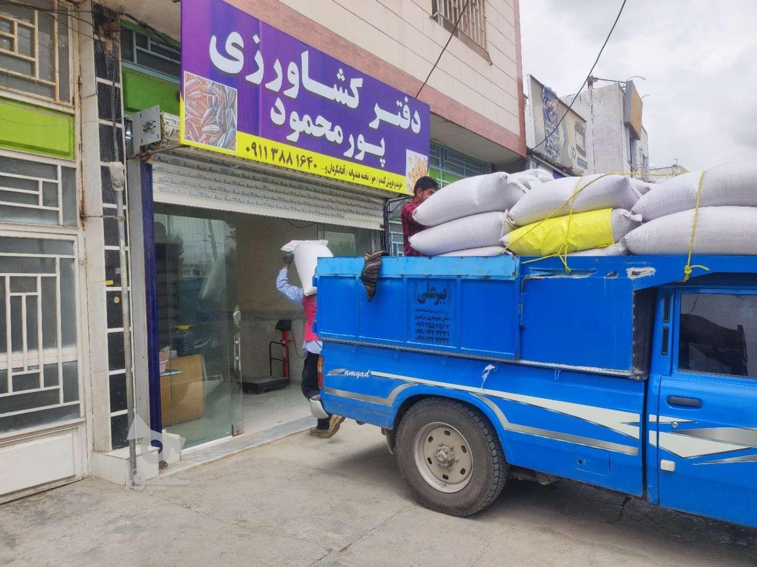 تخم جارو ،دان جارو ،براق،2بوجار مقدار 2تن