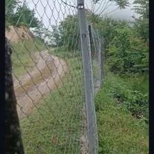 فروش زمین کشاورزی 2500 متر در دودانگه