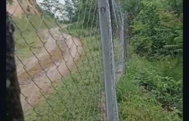 فروش زمین کشاورزی 2500 متر در دودانگه