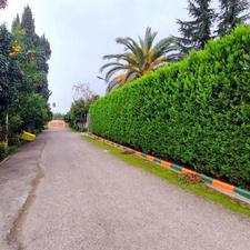 فروش زمین مسکونی 585 متر در نوشهر/سند/شهرکی بااصالت