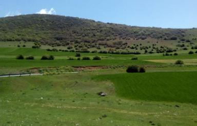 اجاره زمین در کجور(کندلوس/کیاکلا/مونج/جاده نیچکوه)