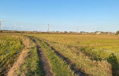 فروش زمین کشاورزی 16000 متر بصورت نقد و اقساط