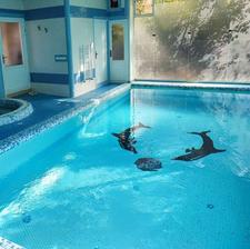 اجاره روزانه ویلااستخرجکوزی بزرگ مرکز شهر