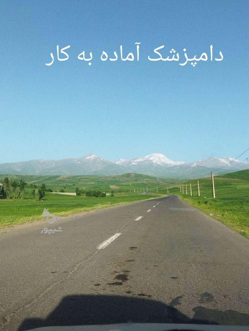 دامپزشک هستم آماده همکاری - محمد