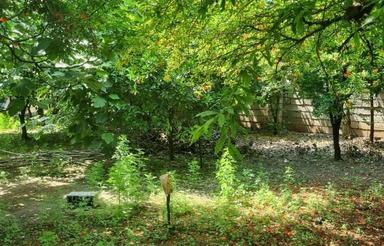 فروش زمین مسکونی 325 متر در ماه فروجک