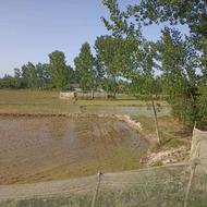 فروش زمین کشاورزی 6500 متر در جاده اصلی