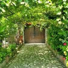 ویلا هزار متری روستای گرمستان بعد شکتا